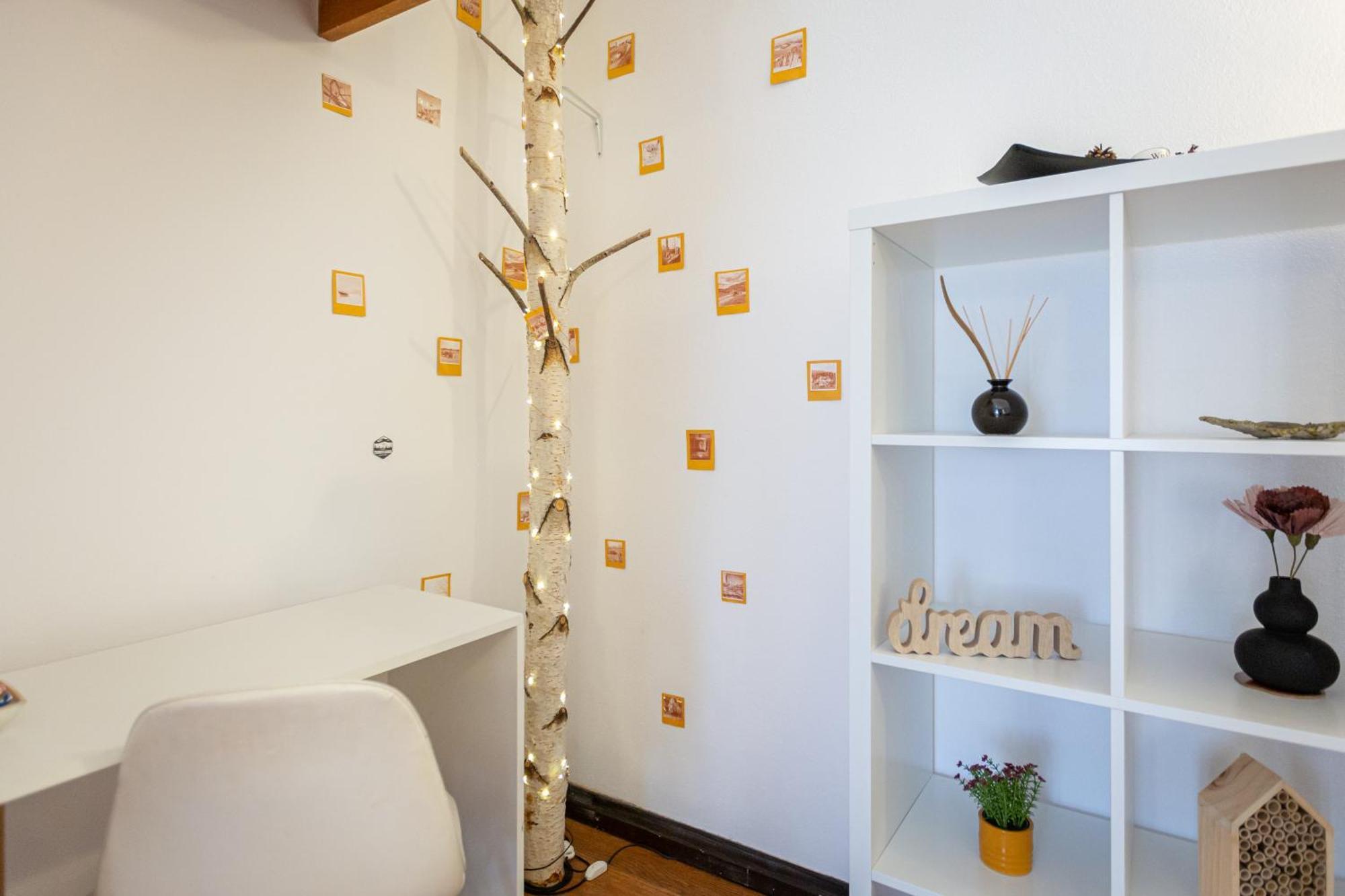 Dream Guesthouse Брашов Екстериор снимка