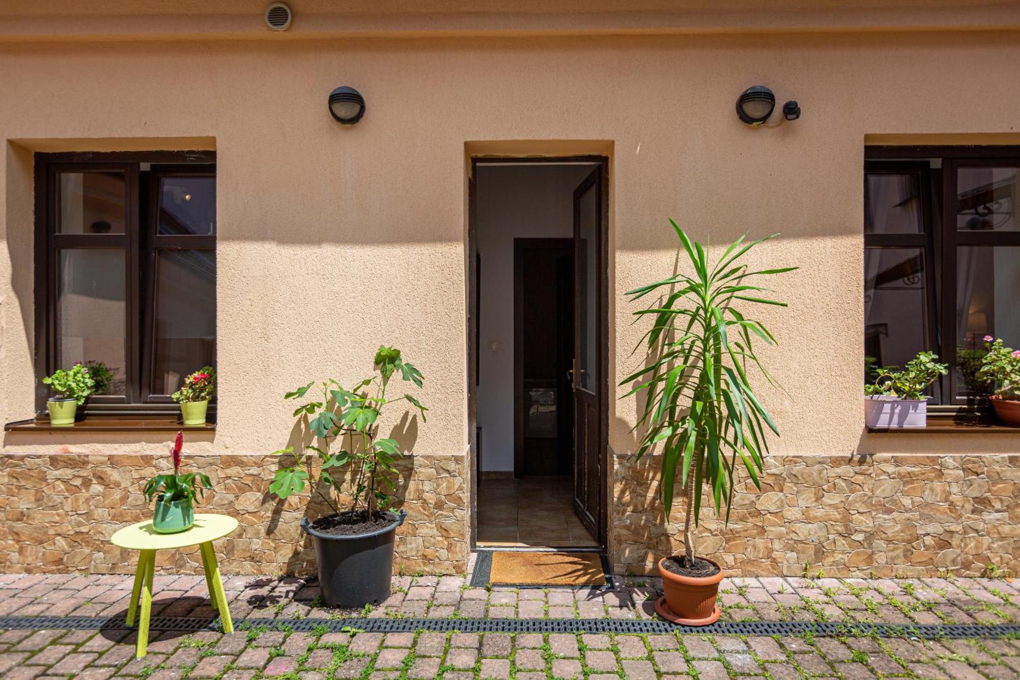 Dream Guesthouse Брашов Екстериор снимка